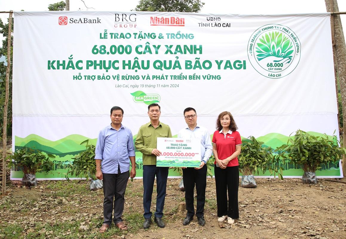 SeABank và Tập đoàn BRG chung tay trồng 68.000 cây phủ xanh gần 20ha rừng tại Lào Cai - ảnh 3