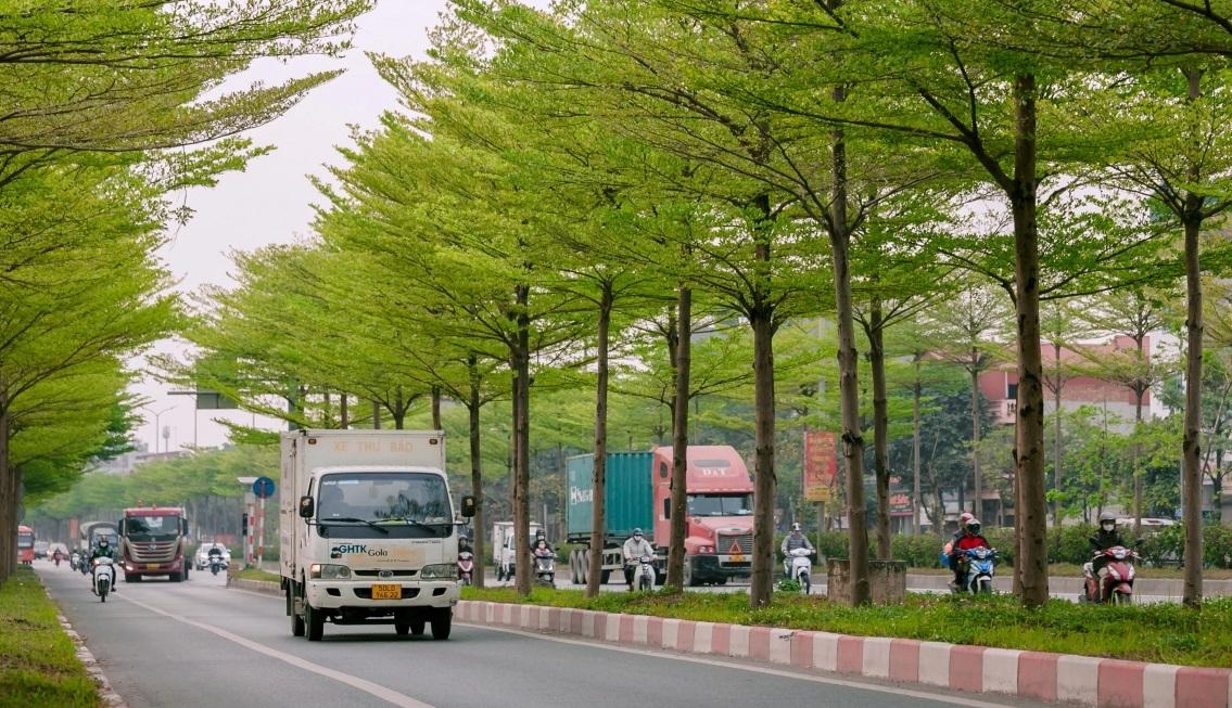 Các tỉnh Thanh Hoá, Nghệ An đang tiến hành rà soát hồ sơ liên quan đến các dự án trồng cây xanh theo yêu cầu của Bộ Công an.
