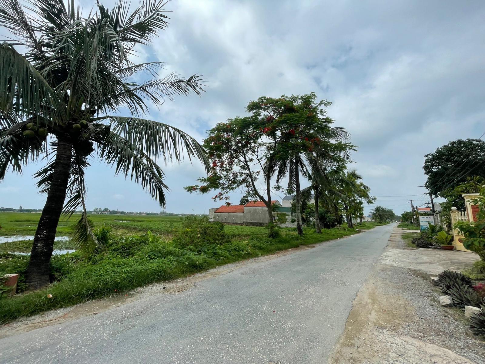Đường Tỉnh lộ 524 đoạn qua xã Nga Thành, huyện Nga Sơn, tỉnh Thanh Hoá.