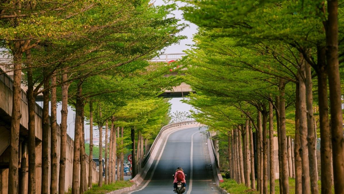 Từ năm 2019 đến nay, trên địa bàn tỉnh Nghệ An có 17 cơ quan, đơn vị đã thực hiện 114 dự án trồng và chăm sóc cây xanh, với tổng mức đầu tư hơn 211,4 tỷ đồng.