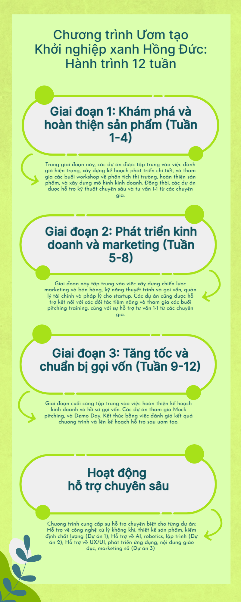 Quy trình ươm tạo bao gồm ba giai đoạn liên tiếp: khám phá và hoàn thiện sản phẩm; phát triển kinh doanh và marketing; tăng tốc và chuẩn bị gọi vốn. Quy trình ươm tạo bao gồm ba giai đoạn liên tiếp: khám phá và hoàn thiện sản phẩm; phát triển kinh doanh và marketing; tăng tốc và chuẩn bị gọi vốn.