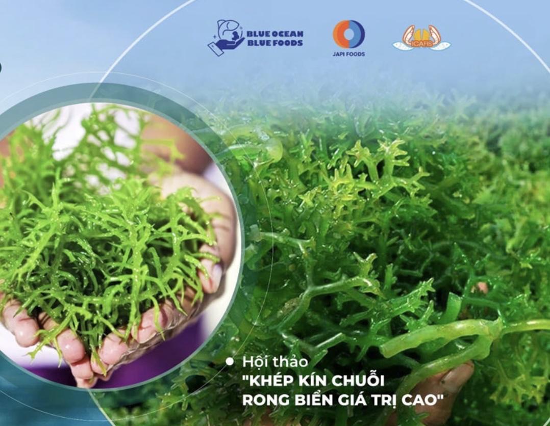 Xây dựng chuỗi giá trị khép kín từ rong biển - ảnh 1