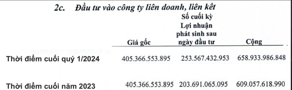 SCSC chiếm lĩnh mảng lớn thị trường miền Nam, chỉ có duy nhất một đối thủ là TCS.