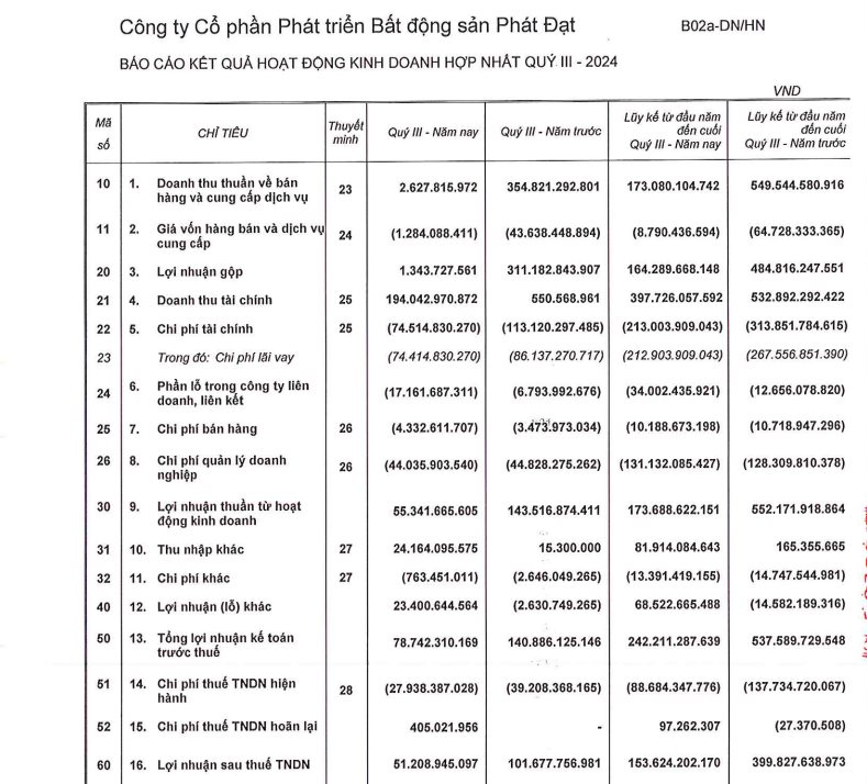 Một số chỉ tiêu kinh doanh của Phát Đạt. (Nguồn: Phát Đạt)