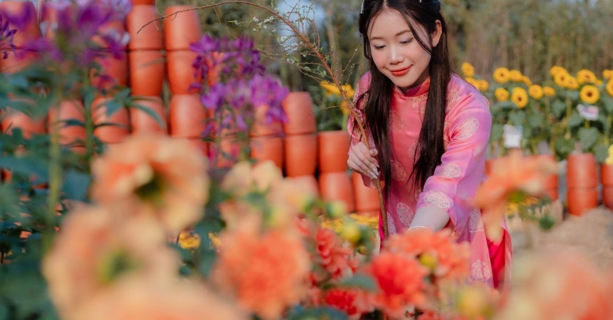 Du khách diện áo dài check in đường hoa Home Hanoi Xuan 2025