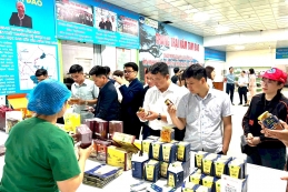 Phú Thọ: Người tạo sinh kế cho hàng trăm lao động dưới chân núi Tam Đảo