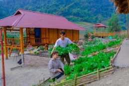 Thanh niên dân tộc Mường tiên phong chuyển đổi số trong nông nghiệp ở Sơn La