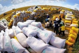 Các doanh nghiệp Việt trúng thầu 300.000 tấn gạo xuất sang Indonesia