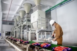 Cổ phiếu DGC 'vọt ga' ấn tượng kéo vốn hoá doanh nghiệp cán mốc 1,6 tỷ USD