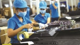 Bài 3: Thực trạng phát triển kinh tế tư nhân tại Việt Nam