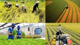 Thực trạng và giải pháp toàn diện cho sự phát triển của ngành vật tư nông nghiệp và nông nghiệp Việt Nam
