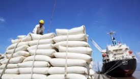 Xuất khẩu gạo sẽ tiếp tục bứt phá trong năm 2024