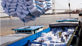 Xuất khẩu gạo: Đón cơ hội từ EVFTA