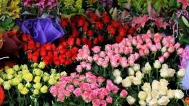 TP. Hồ Chí Minh: Sôi động thị trường hoa, quà tặng ngày 20/11