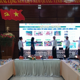Quảng Nam: Khai trương sàn thương mại điện tử sâm, dược liệu và hàng nông sản