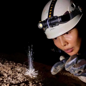 Nhóm thám hiểm phát hiện sinh vật lạ trong hang động ở Quảng Bình