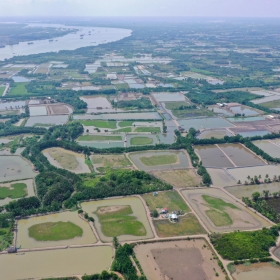 Đấu giá đất nền vùng ven Hà Nội thu hút nhiều nhà đầu tư trên thị trường