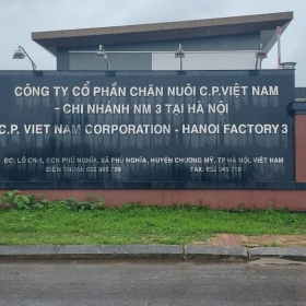 Tìm hiểu thông tin về CTCP Chăn nuôi C.P. Việt Nam