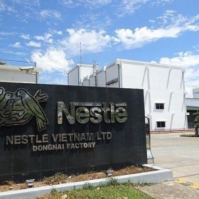 Nestlé Việt Nam: Công ty thực phẩm và đồ uống 100% vốn nước ngoài