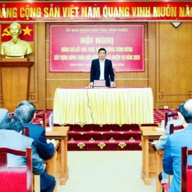 Vĩnh Phúc có 217 thôn được công nhận thôn đạt chuẩn nông thôn mới kiểu mẫu