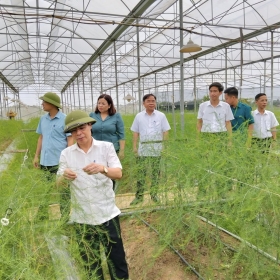 Xã Hoàng An (Phú Thọ): Tập trung phát triển theo định hướng 3 khâu đột phá