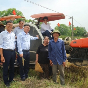 Cơ hội tạo tín chỉ Carbon từ dự án JCM lúa canh tác theo phương pháp ngập khô xen kẽ AWD
