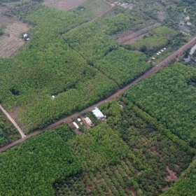 Thadico của tỷ phú Trần Bá Dương đề xuất tuyến đường hơn 22.600 tỷ đồng kết nối Đồng Xoài với Vành đai 4 TP.HCM