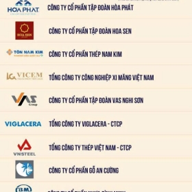 Hòa Phát là doanh nghiệp thép nộp ngân sách lớn nhất Việt Nam