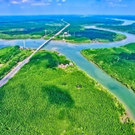 Tựa rừng, hướng biển, kết nối bằng tàu cao tốc: Công thức vàng cho đô thị đáng sống nhất Việt Nam