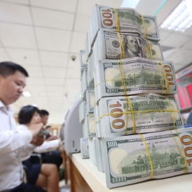 Dự trữ ngoại hối của Việt Nam khoảng 100 tỷ USD, đủ để ổn định tỷ giá