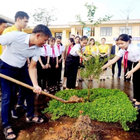 Nam A Bank chung tay vun trồng cây xanh và tri ân Nhà giáo Việt Nam