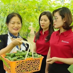 Dòng vốn ưu đãi 50.000 tỷ đồng từ Agribank: Tiếp sức sản xuất, đồng hành cùng triệu hộ kinh doanh