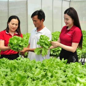 Nguồn vốn Agribank thúc đẩy kinh tế tư nhân  phát huy vai trò trụ cột quan trọng của nền kinh tế