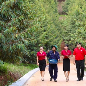 Agribank xanh hóa tín dụng – “Cầu nối” để phát triển năng lượng xanh tại Việt Nam