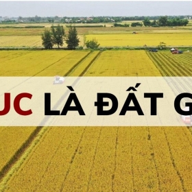 Đất LUC là gì? Cách để chuyển mục đích sử dụng đất LUC sang đất ở