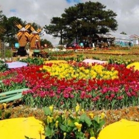 Festival Hoa Đà Lạt lần thứ X sẽ khai mạc vào ngày 5/12