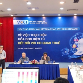 Tham vấn về kết quả khảo sát hộ kinh doanh thực hiện hóa đơn điện tử