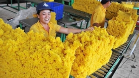 Xuất khẩu cao su của Việt Nam sang Hà Lan đạt 3,03 nghìn tấn