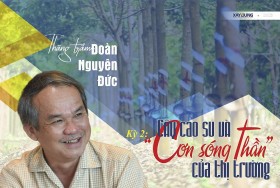 Kỳ 2: Cây cao su và “cơn sóng thần” của thị trường