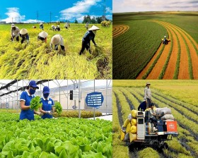 Nâng cao vai trò hợp tác xã kinh tế xanh trong phát triển nông nghiệp bền vững