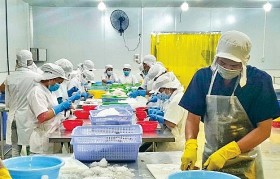 Phát huy vai trò của mô hình hợp tác xã tại Cần Thơ