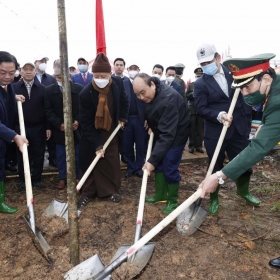 Chủ tịch nước phát động Tết trồng cây