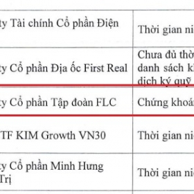 Chậm trễ tổ chức đại hội đồng cổ đông thường niên 2022, FLC giải trình ra sao?