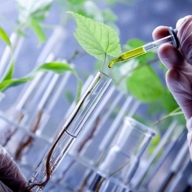 Phê duyệt Đề án phát triển công nghiệp sinh học ngành công thương