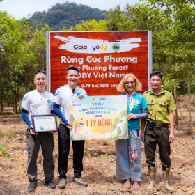 Yody tài trợ Gaia 1 tỷ đồng và hành trình phủ xanh rừng Việt Nam