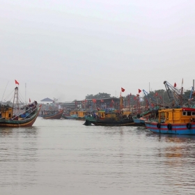 Nghệ An: Dành 2.400 tỷ đồng để nâng cấp cảng cá, dịch vụ hậu cần nghề cá