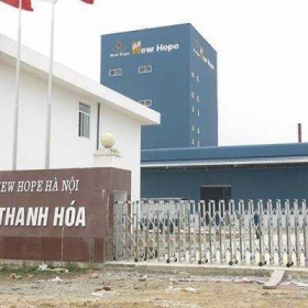 Thanh Hoá: 2 doanh nghiệp sản xuất thức ăn chăn nuôi bị xử phạt hàng trăm triệu đồng