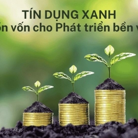 Đẩy mạnh hỗ trợ doanh nghiệp tiếp cận vốn tín dụng xanh