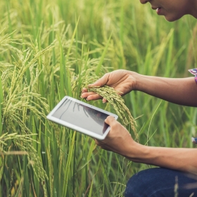 Khuyến khích ứng dụng công nghệ góp phần tăng giá trị ngành nông nghiệp