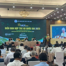 Đẩy mạnh phát triển chuyển đổi xanh trong khu vực hợp tác xã